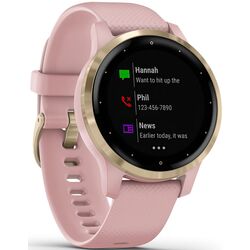 Смарт-часы Garmin Vivoactive 4S (Dust Rose/Light Gold) Thumb
