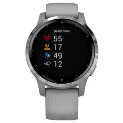 Смарт-часы Garmin Vivoactive 4S (Powder Gray/Silver) Thumb