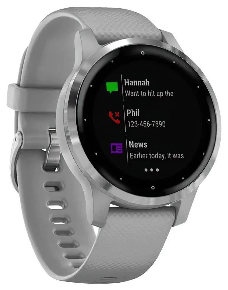 Смарт-часы Garmin Vivoactive 4S (Powder Gray/Silver)