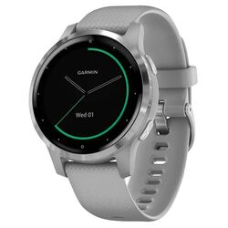 Смарт-часы Garmin Vivoactive 4S (Powder Gray/Silver)