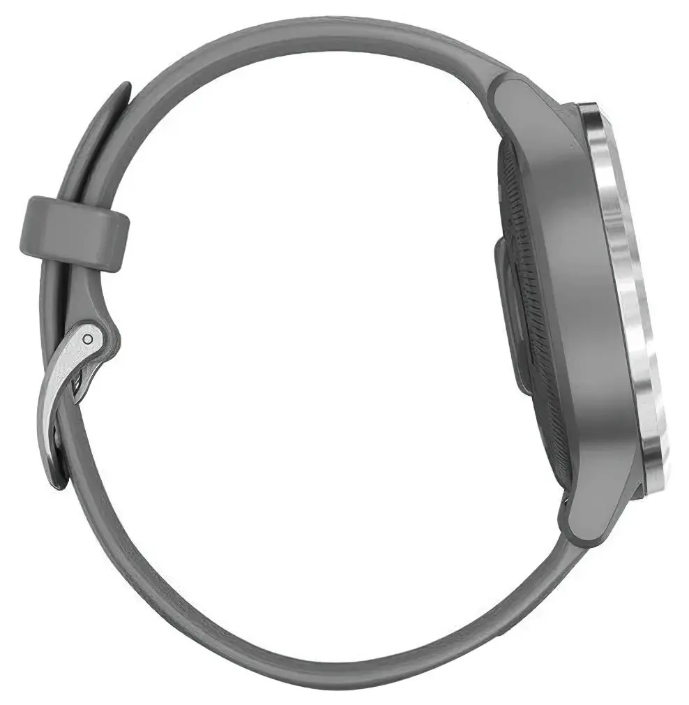 Смарт-часы Garmin Vivoactive 4S (Powder Gray/Silver)