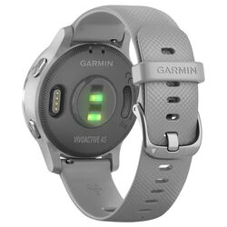 Смарт-часы Garmin Vivoactive 4S (Powder Gray/Silver) Thumb