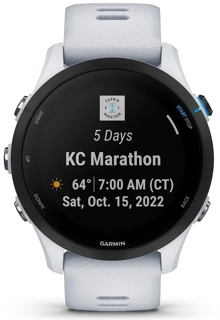 Умные часы Garmin Forerunner 255 Music (Whitestone)