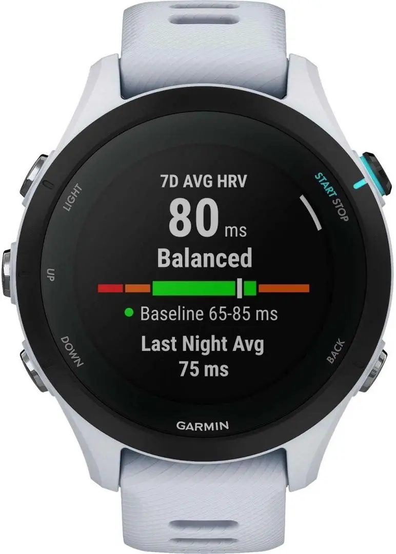Умные часы Garmin Forerunner 255S (Powder Grey)