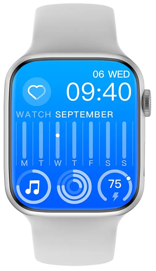 Смарт-часы Wiwu SW01 Pro (Silver)