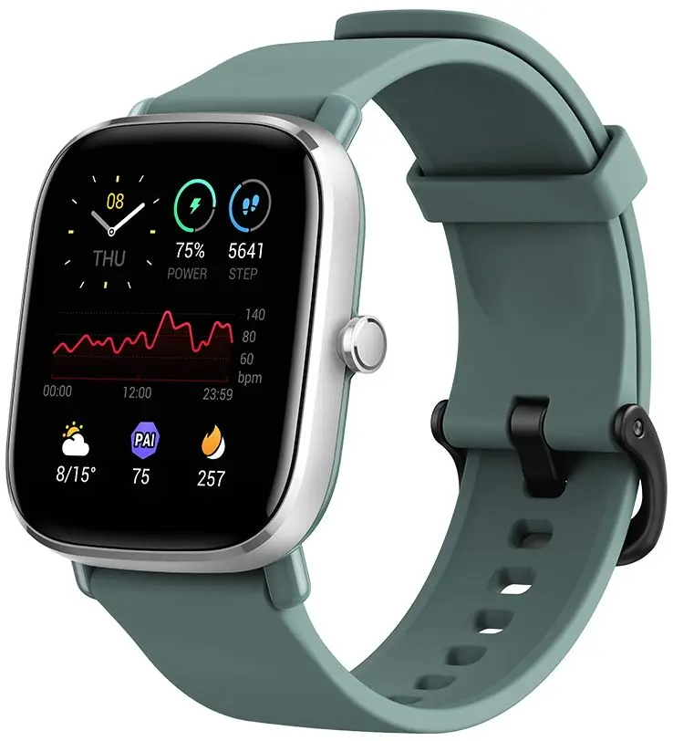 Смарт-часы Xiaomi Amazfit GTS2 Mini (Sage Green)