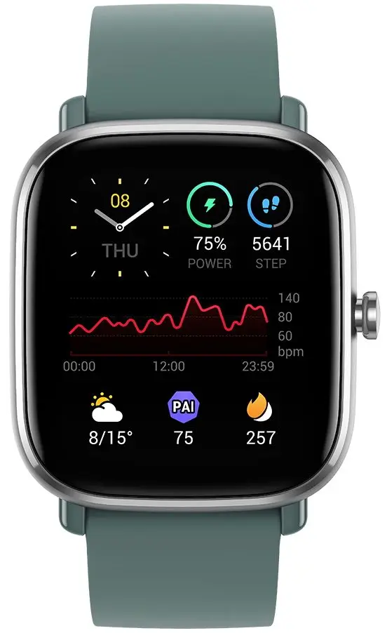 Смарт-часы Xiaomi Amazfit GTS2 Mini (Sage Green)