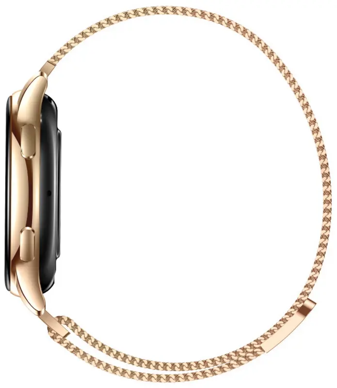 Смарт-часы Maxcom Ecowatch3 (Gold)