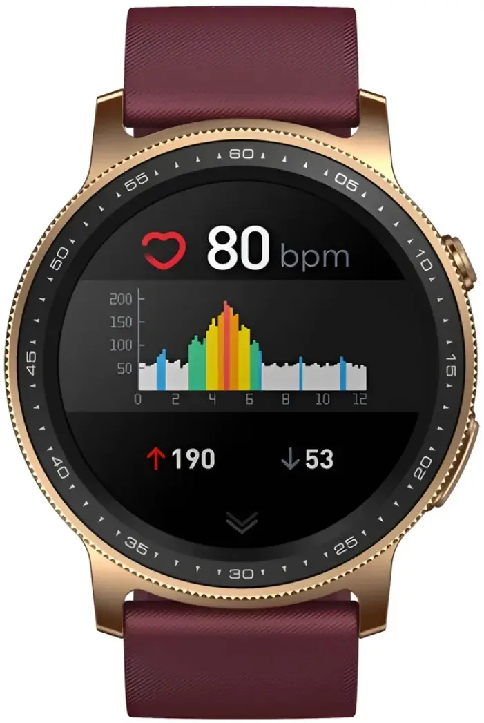 Смарт-часы Zeblaze GTR 2 (Gold)