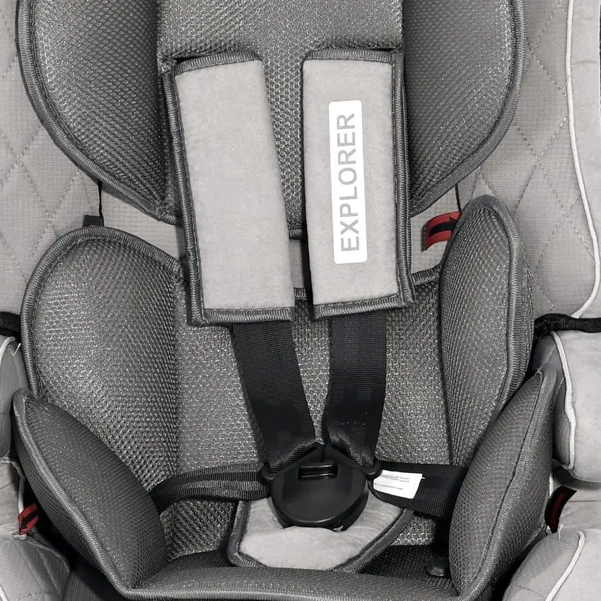 Автокресло Bertoni (Lorelli) Explorer (Rose Velvet) - 3