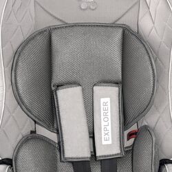 Автокресло Bertoni (Lorelli) Explorer (Rose Velvet) Thumb