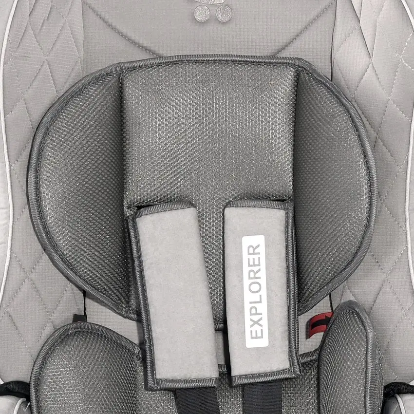 Автокресло Bertoni (Lorelli) Explorer (Rose Velvet) - 4