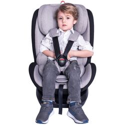 Scaun auto Bertoni (Lorelli) Nebula Isofix (Pink) Thumb