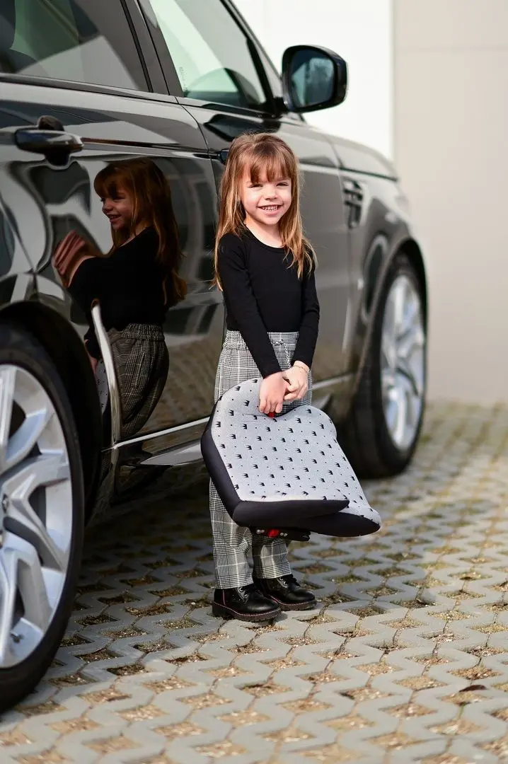 Scaun auto Bertoni (Lorelli) Sirius Fix Isofix (Beige)