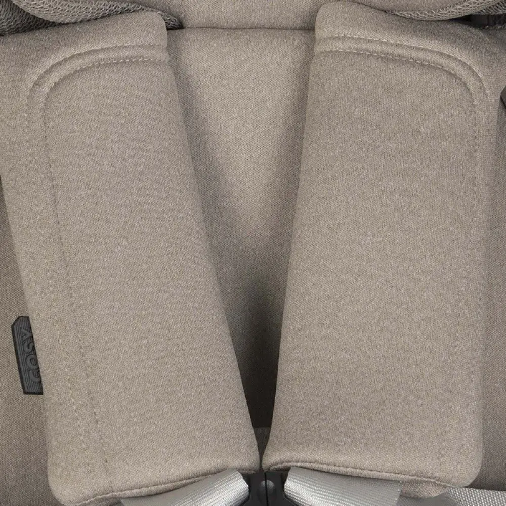 Автокресло EasyGo Cosy (Taupe)