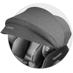Автокресло Ricokids Stigo (Gray) Thumb