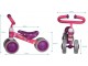 Bicicleta fara pedale Enero Love Kitty 1020617 (Pink/Purple)