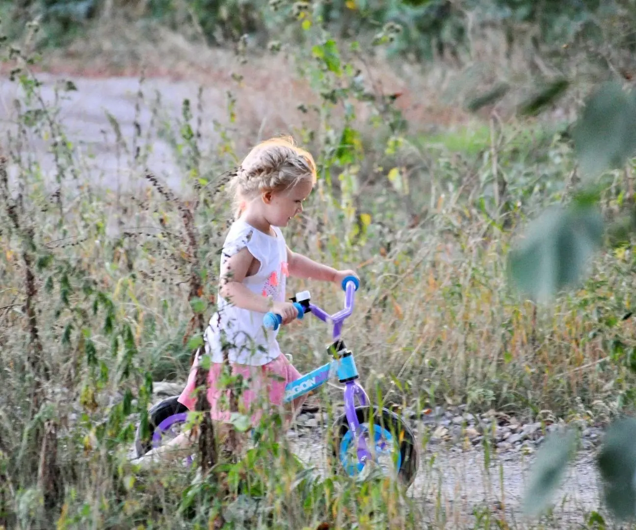 Bicicleta fara pedale Milly Mally Dragon Air (Green) - 5