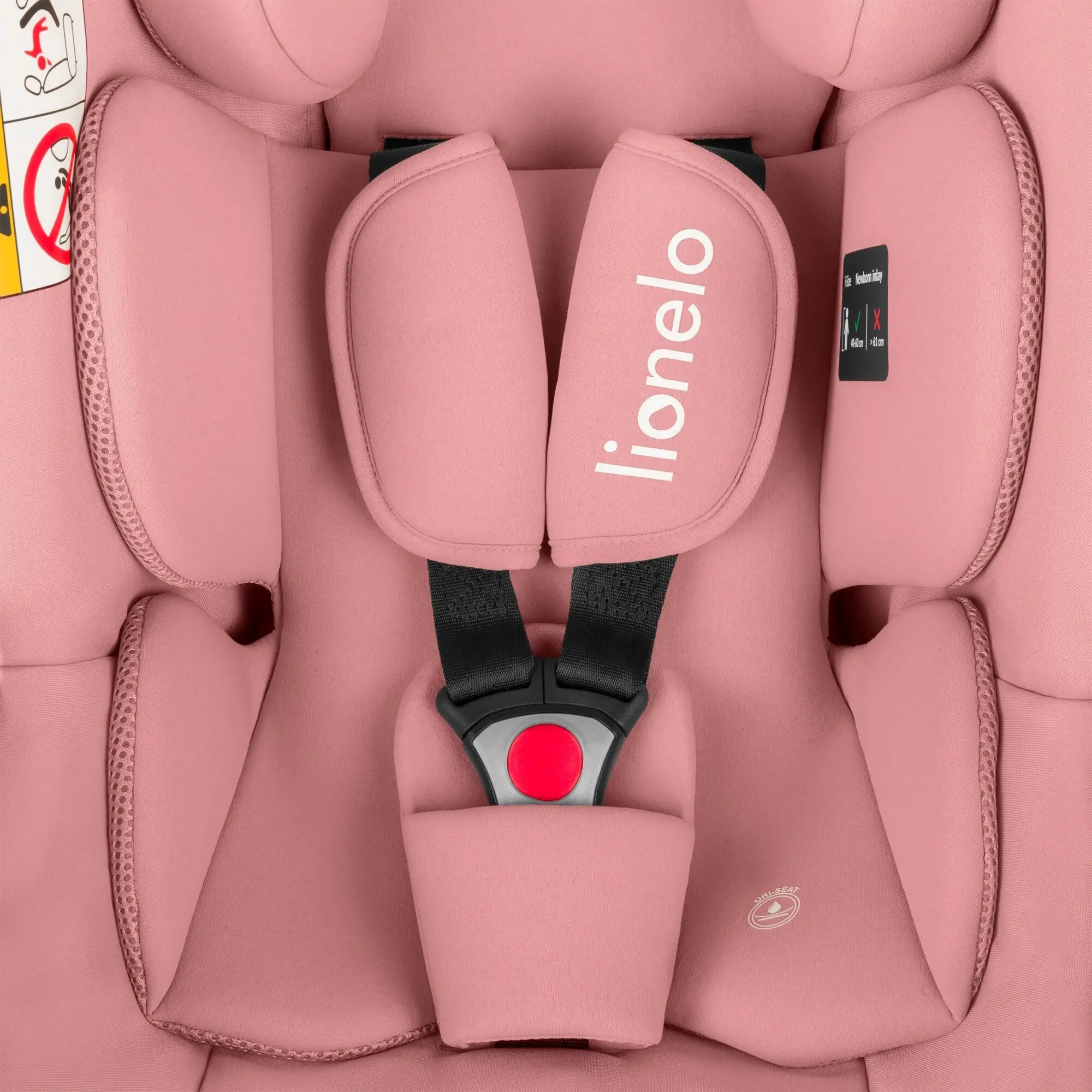 Scaun auto Lionelo Astrid i-Size (Pink Coral)