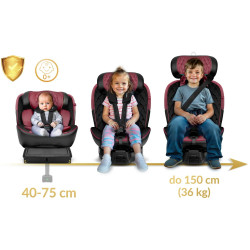 Автокресло Nukido Prestige Line 710102 (Black/Pink) Thumb
