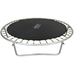 Батут с защитной сеткой AliBibi F610 305см (Black/Green) Thumb