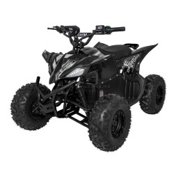 ATV electric Ramiz Quad Desert Storm Lift (Black)
