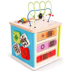 Jucarie de dezvoltare Baby Einstein Hape Innovation Station