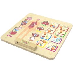 Бизиборд Masterkidz Human Body System (Wood) Thumb