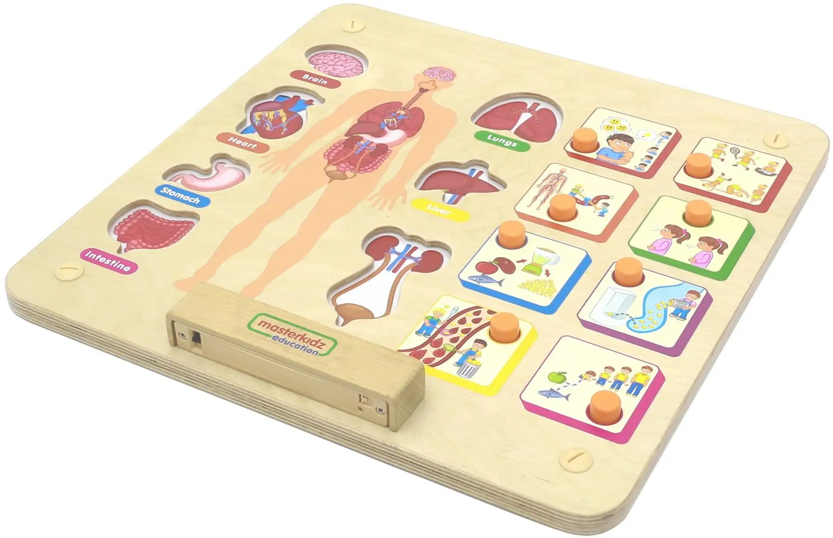Бизиборд Masterkidz Human Body System (Wood) - 2