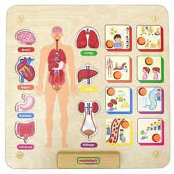 Бизиборд Masterkidz Human Body System (Wood)
