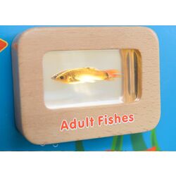 Бизиборд Masterkidz Light-Up Fish Life Cycle Stages Panel ME13231 (Multicolour) Thumb