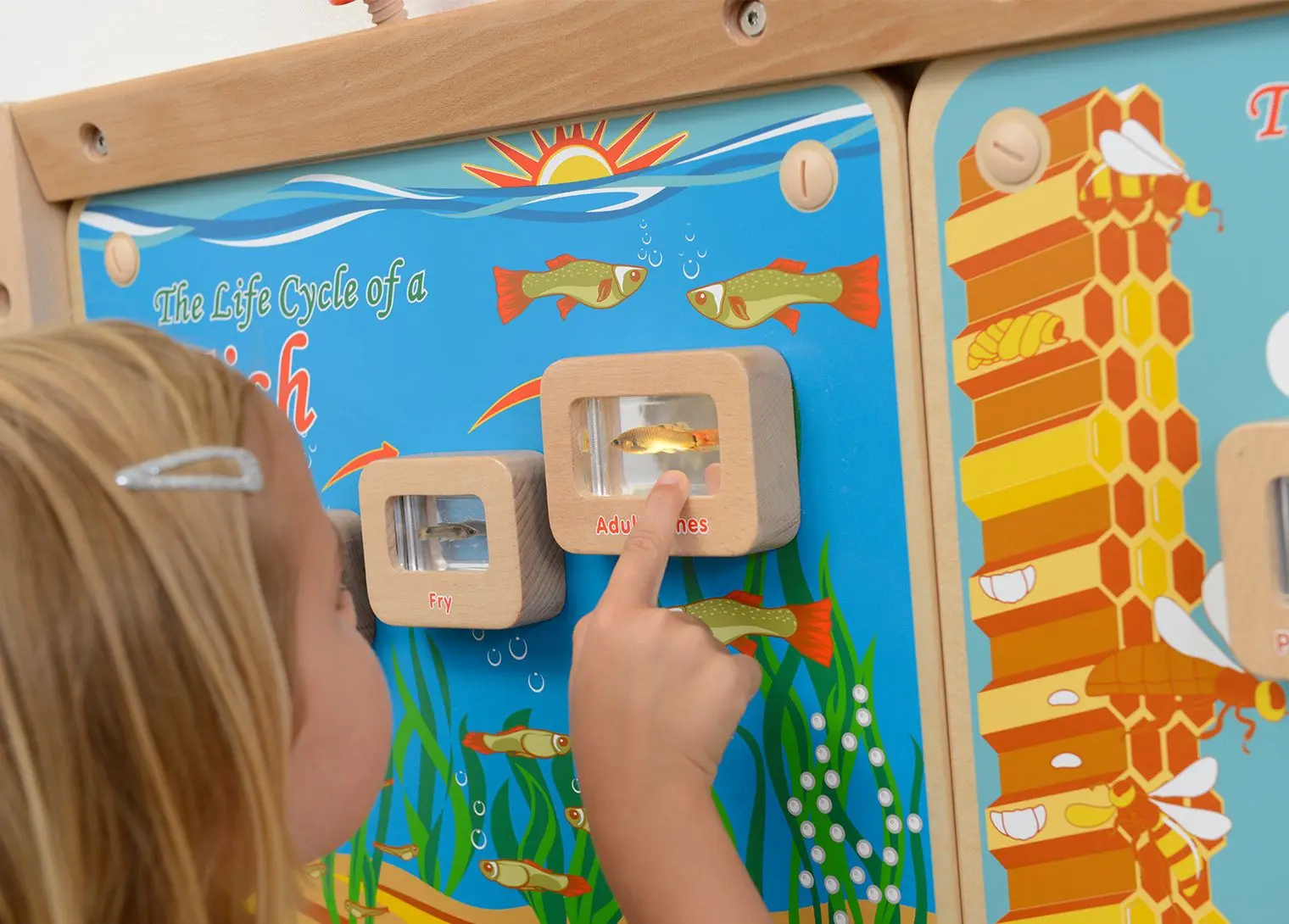 Бизиборд Masterkidz Light-Up Fish Life Cycle Stages Panel ME13231 (Multicolour) - 4