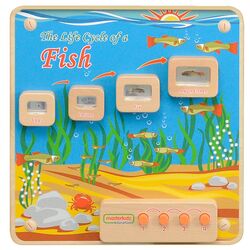 Бизиборд Masterkidz Light-Up Fish Life Cycle Stages Panel ME13231 (Multicolour)