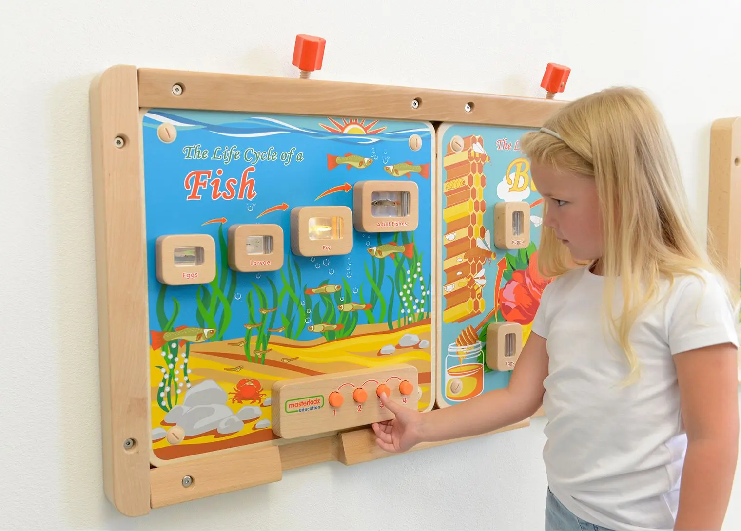 Бизиборд Masterkidz Light-Up Fish Life Cycle Stages Panel ME13231 (Multicolour) - 2