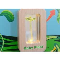 Бизиборд Masterkidz Light-Up Plant Life Cycle Stages Panel ME13217 (Multicolour) Thumb