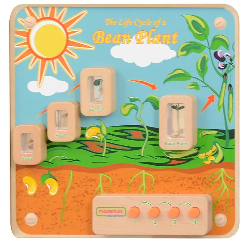 Бизиборд Masterkidz Light-Up Plant Life Cycle Stages Panel ME13217 (Multicolour)
