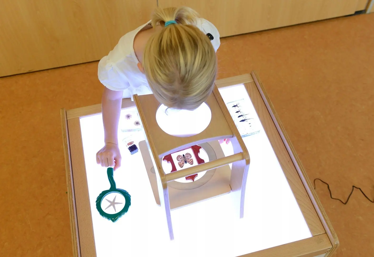 Бизиборд Masterkidz Magnifying Stand (Wood) - 2