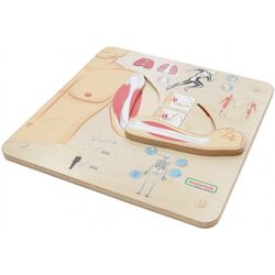 Бизиборд Masterkidz Musculoskeletal System (Wood) Thumb