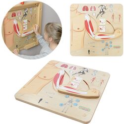 Бизиборд Masterkidz Musculoskeletal System (Wood) Thumb