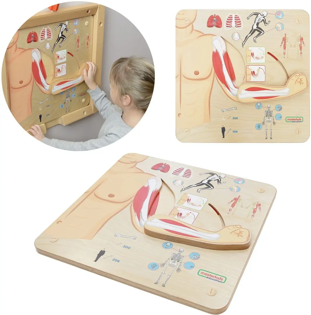 Бизиборд Masterkidz Musculoskeletal System (Wood) - 3