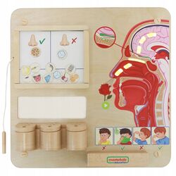 Бизиборд Masterkidz Sense Of Smell (Wood)