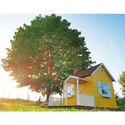 Complex pentru joaca 4iQ Maja Dom000065 (Wood) Thumb