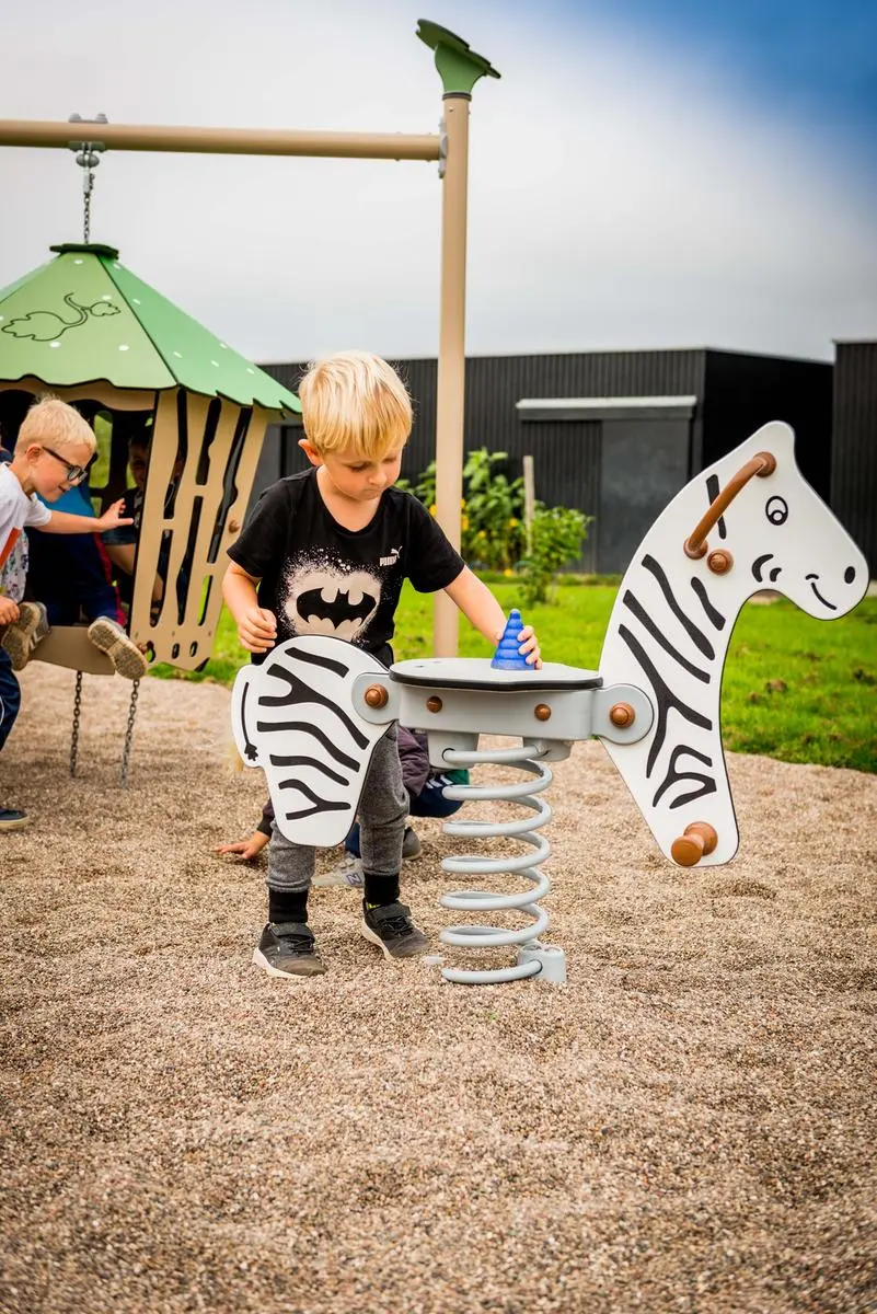 Balansoar pe arc DastimArt 215 (White/Black) - 3