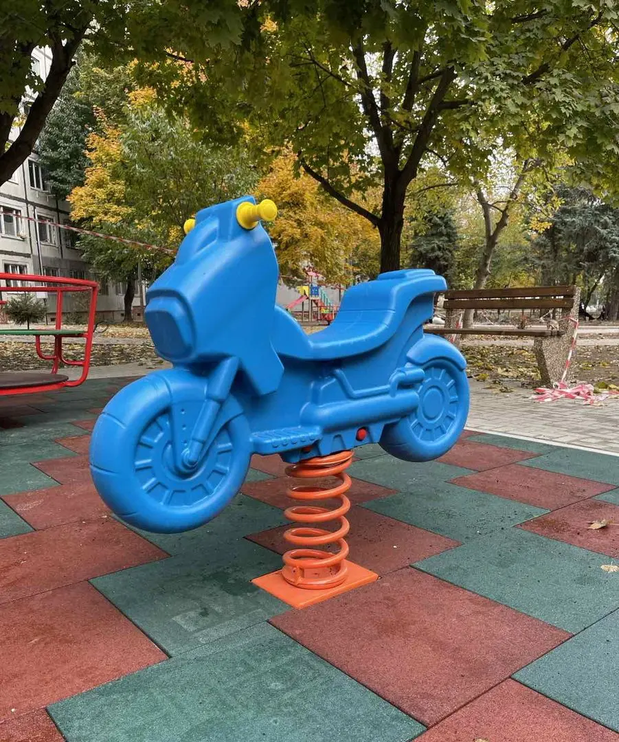 Balansoar pe arc PlayPark ZP-05