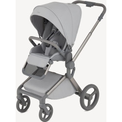 Carucior modular 2in1 Anex Flo (Frossy) Thumb