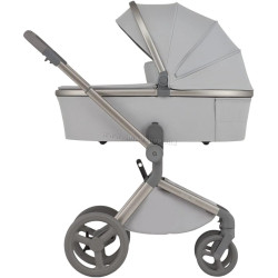 Carucior modular 2in1 Anex Flo (Frossy)