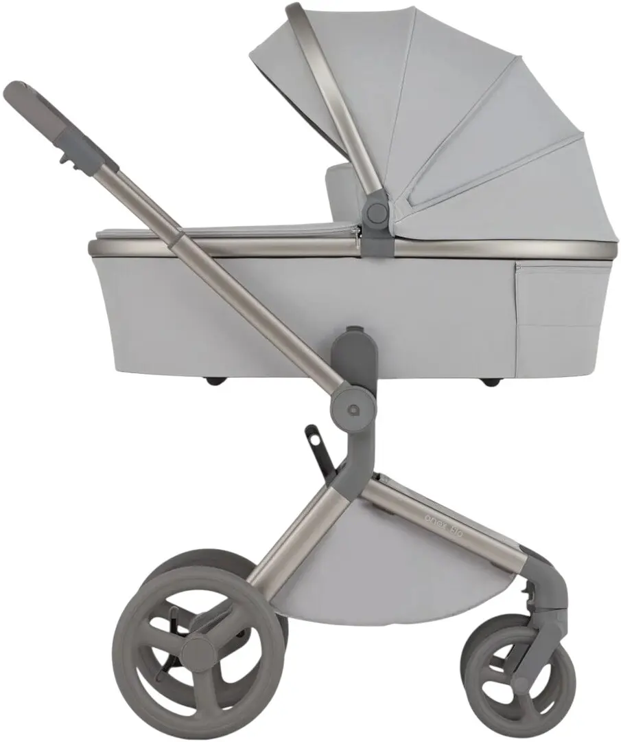 Carucior modular 2in1 Anex Flo (Frossy)