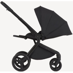 Carucior modular 2in1 Anex Flo (Lungo) Thumb