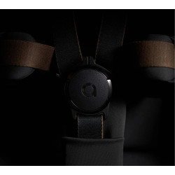 Carucior modular 2in1 Anex Flo (Lungo) Thumb