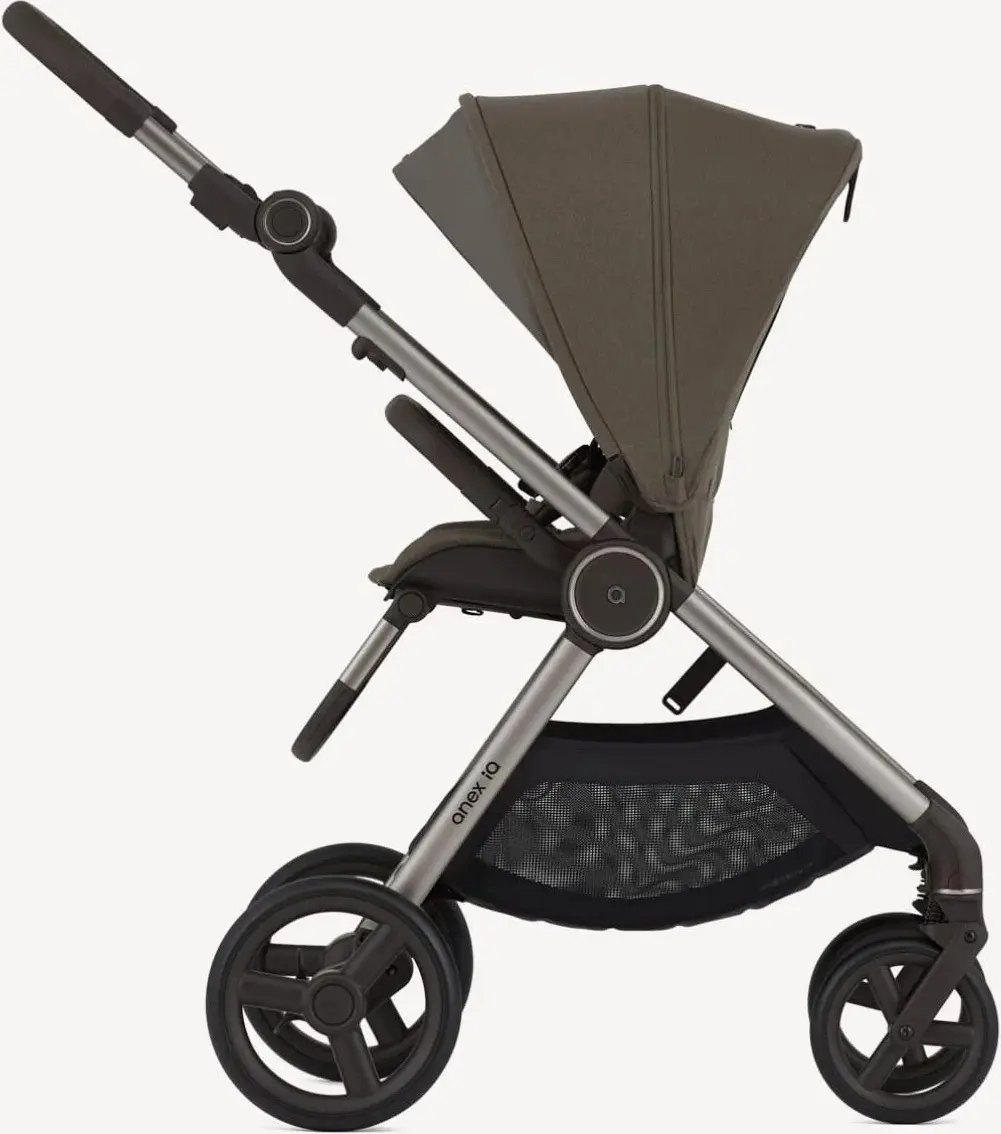 Коляска модульная 2в1 Anex IQ Premium (Bruna) - 5